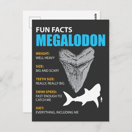 Megalodon-Hemd großartiges Geschenk für Haifanatik Postkarte (Vorne/Hinten)