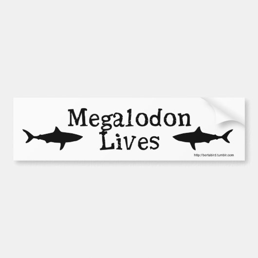 Megalodon Leben! Autoaufkleber (Vorne)