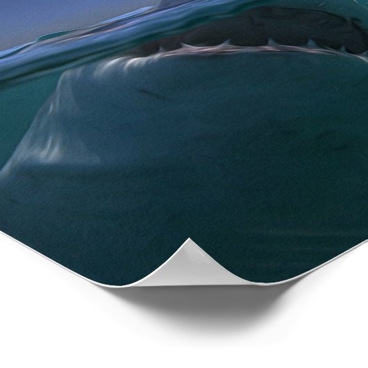 Megalodon Poster (Ecke)