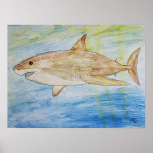 Megalodon Poster