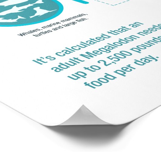 Megalodon Shark - Killer Fakten! 24x36" Poster (Ecke)