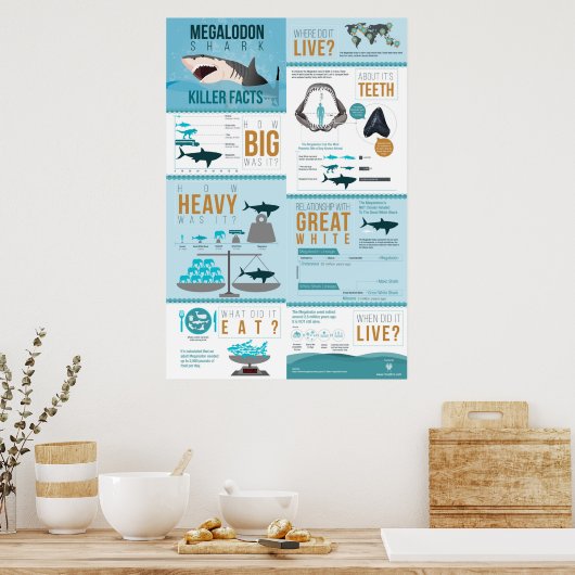 Megalodon Shark - Killer Fakten! 24x36" Poster (Küche)