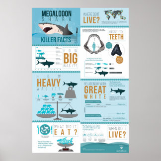 Megalodon Shark - Killer Fakten! 24x36" Poster