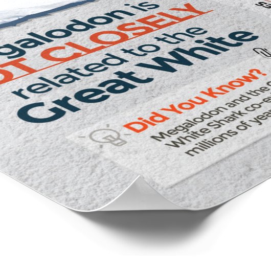 Megalodon Shark - Predator! 24x36" Poster (Ecke)