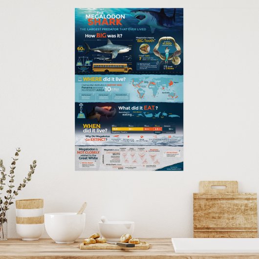 Megalodon Shark - Predator! 24x36" Poster (Küche)