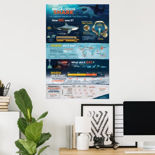 Megalodon Shark - Predator! 24x36" Poster (Heimbüro)