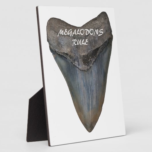 Megalodon Shark Tooth Fotoplatte (Seite)