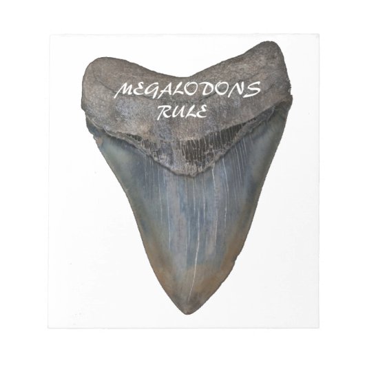 Megalodon Shark Tooth Notizblock (Vorderseite)
