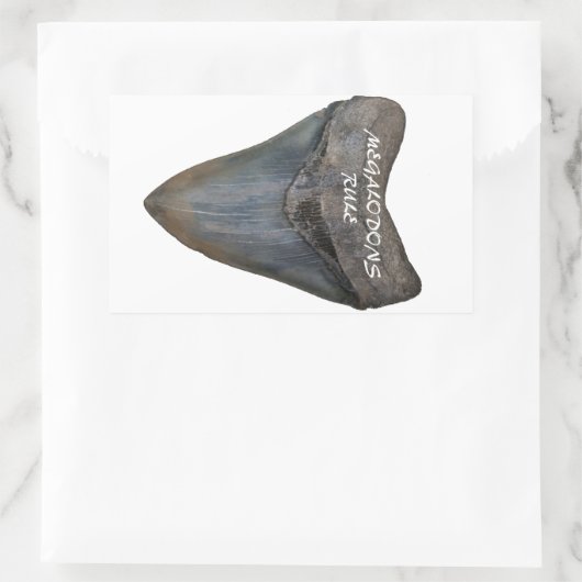 Megalodon Shark Tooth Rechteckiger Aufkleber (Tasche)