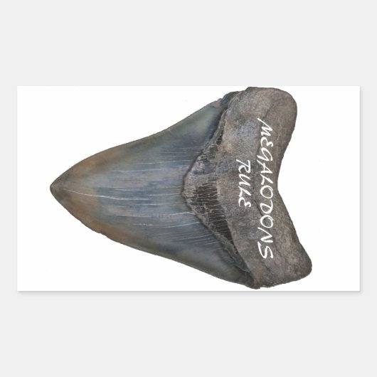 Megalodon Shark Tooth Rechteckiger Aufkleber (Vorderseite)
