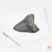 Megalodon Shark Tooth Rechteckiger Aufkleber (Umschlag)