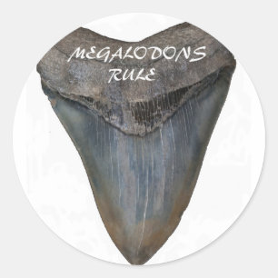 Megalodon Shark Tooth Runder Aufkleber