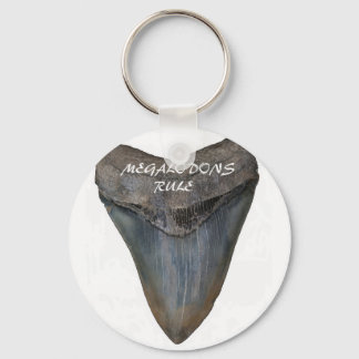 Megalodon Shark Tooth Schlüsselanhänger