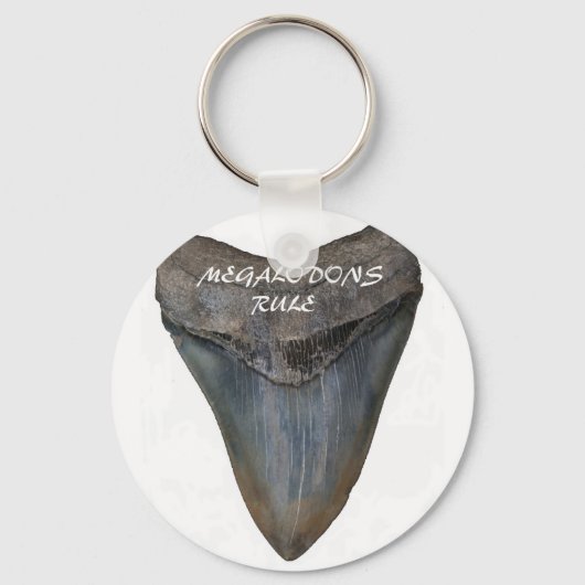 Megalodon Shark Tooth Schlüsselanhänger (Vorderseite)