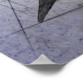 Megalodon-Sketch Poster (Ecke)