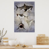 Megalodon-Sketch Poster (Küche)