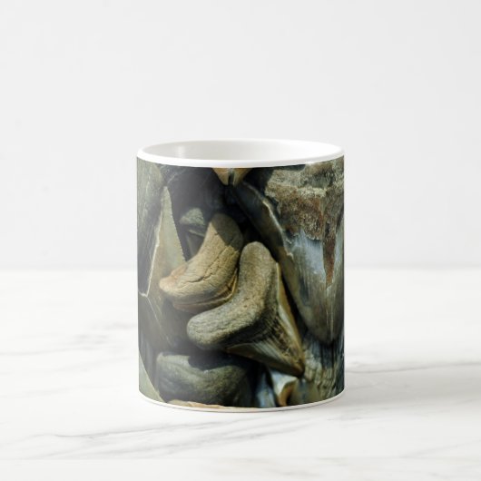 Megalodon versteinerte Haifisch-Zahn-Tasse Kaffeetasse (Mittel)