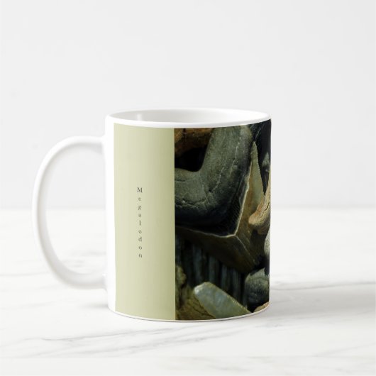 Megalodon versteinerte Haifisch-Zahn-Tasse Kaffeetasse (Links)