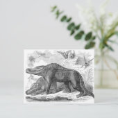 Megalosaurus Antiquitätendruck Postkarte (Stehend Vorderseite)