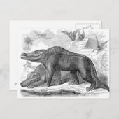 Megalosaurus Antiquitätendruck Postkarte (Vorne/Hinten)