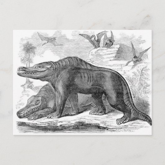 Megalosaurus Antiquitätendruck Postkarte (Vorderseite)