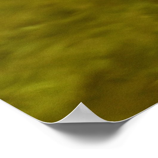 Meganser Duck Poster (Ecke)