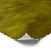 Meganser-Ente Poster (Ecke)