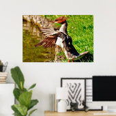 Meganser-Ente Poster (Heimbüro)