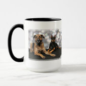 Megyan Dobermann - BerkeleyMastiff X Tasse (Links)