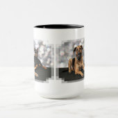 Megyan Dobermann - BerkeleyMastiff X Tasse (Zentrum)