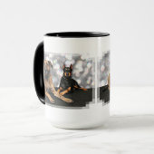 Megyan Dobermann - BerkeleyMastiff X Tasse (Vorderseite Links)