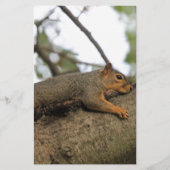 Meh Briefpapier (Vorderseite)