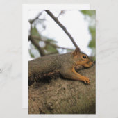 Meh Briefpapier (Vorne/Hinten)