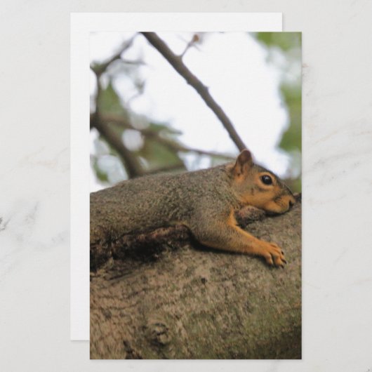 Meh Briefpapier (Vorne/Hinten)