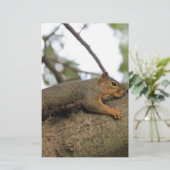 Meh Briefpapier (Stehend Vorderseite)