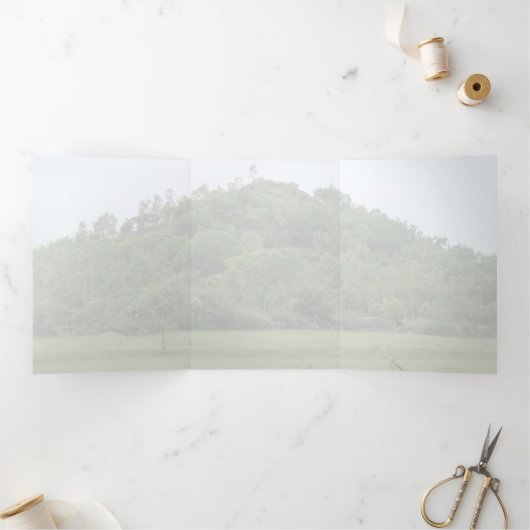 Meher Baba, Abgeschiedener Hügel, Samen von Liebe Dreifach Gefaltete Ankündigung (Innenseite)