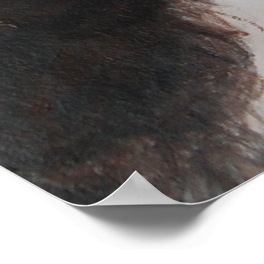 Meher Baba Beloved Poster (Ecke)