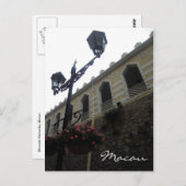 Mehlkähnchen Postkarte (Vorne/Hinten)