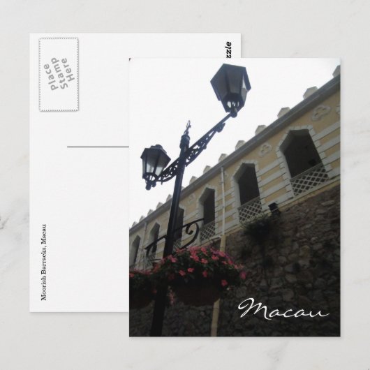 Mehlkähnchen Postkarte (Vorne/Hinten)