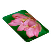 Mehr als ein Traummagnet Magnet (Rechte Seite)