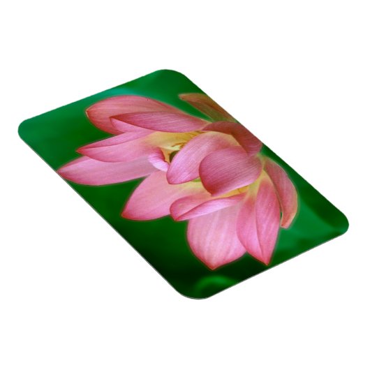 Mehr als ein Traummagnet Magnet (Rechte Seite)