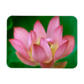 Mehr als ein Traummagnet Magnet (Horizontal)