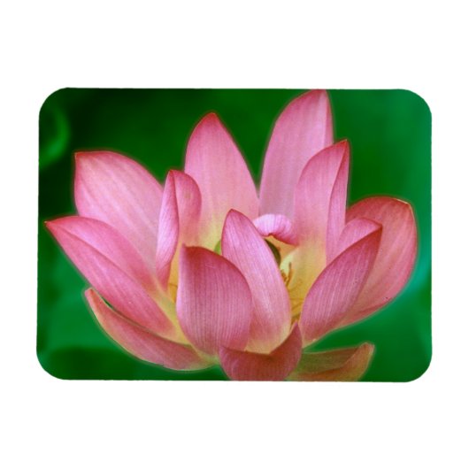 Mehr als ein Traummagnet Magnet (Horizontal)