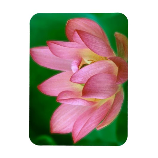 Mehr als ein Traummagnet Magnet (Vertikal)