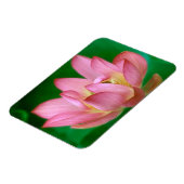 Mehr als ein Traummagnet Magnet (Linke Seite)