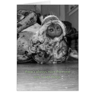 Mehr als eine Möglichkeit