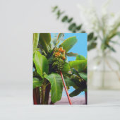 Mehr Bananen Postkarte (Stehend Vorderseite)