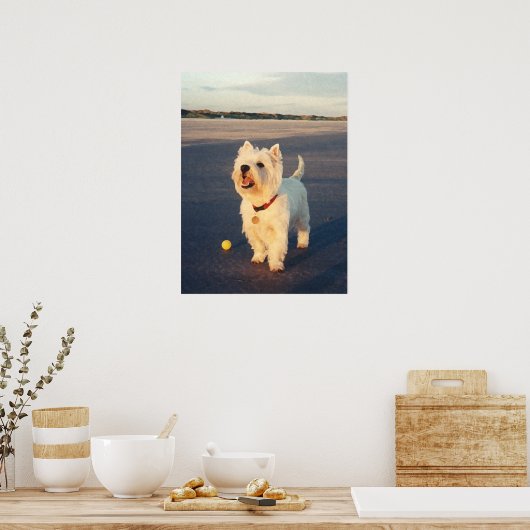 Mehr bitte! Westie Ball Poster (Küche)