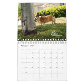 Mehr Corgis-(mit Blogs) Minikalender Kalender (Feb 2027)