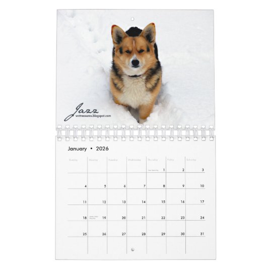 Mehr Corgis-(mit Blogs) Minikalender Kalender (Jan 2026)